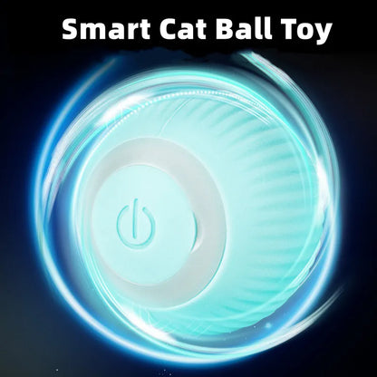 ChaseSpin™ Motion Cat Ball