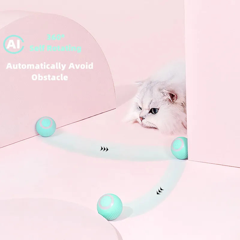 ChaseSpin™ Motion Cat Ball